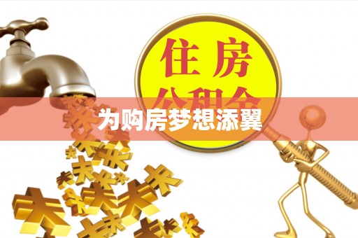 大关为购房梦想添翼