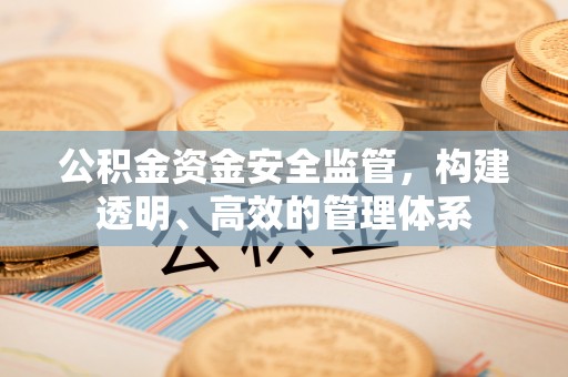 大关公积金资金安全监管，构建透明、高效的管理体系