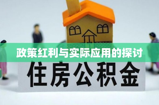 大关政策红利与实际应用的探讨