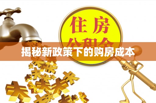 大关揭秘新政策下的购房成本
