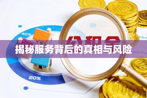 大关揭秘服务背后的真相与风险