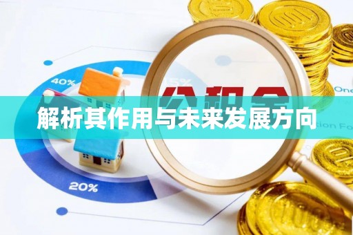 大关解析其作用与未来发展方向